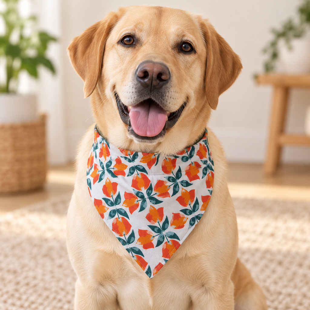 Over-the-Collar Dog Bandana