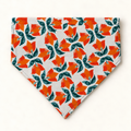 Over-the-Collar Dog Bandana